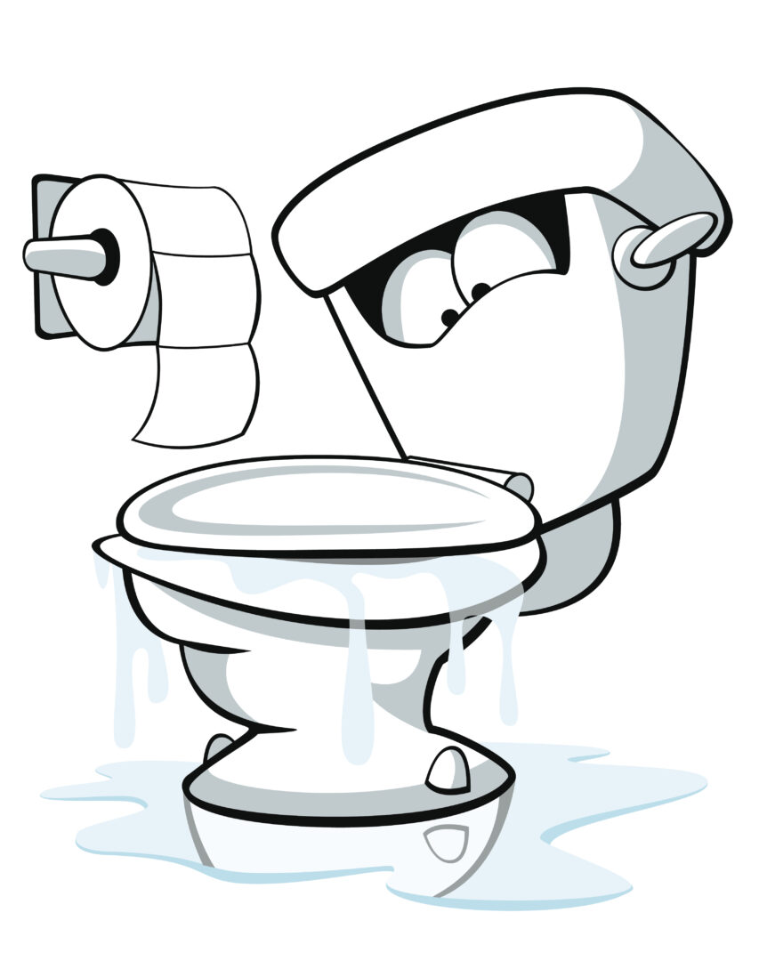 https://www.marylandplumbingservices.com/wp-content/uploads/2023/03/mahon-plumbing-toilet-overflows.jpg